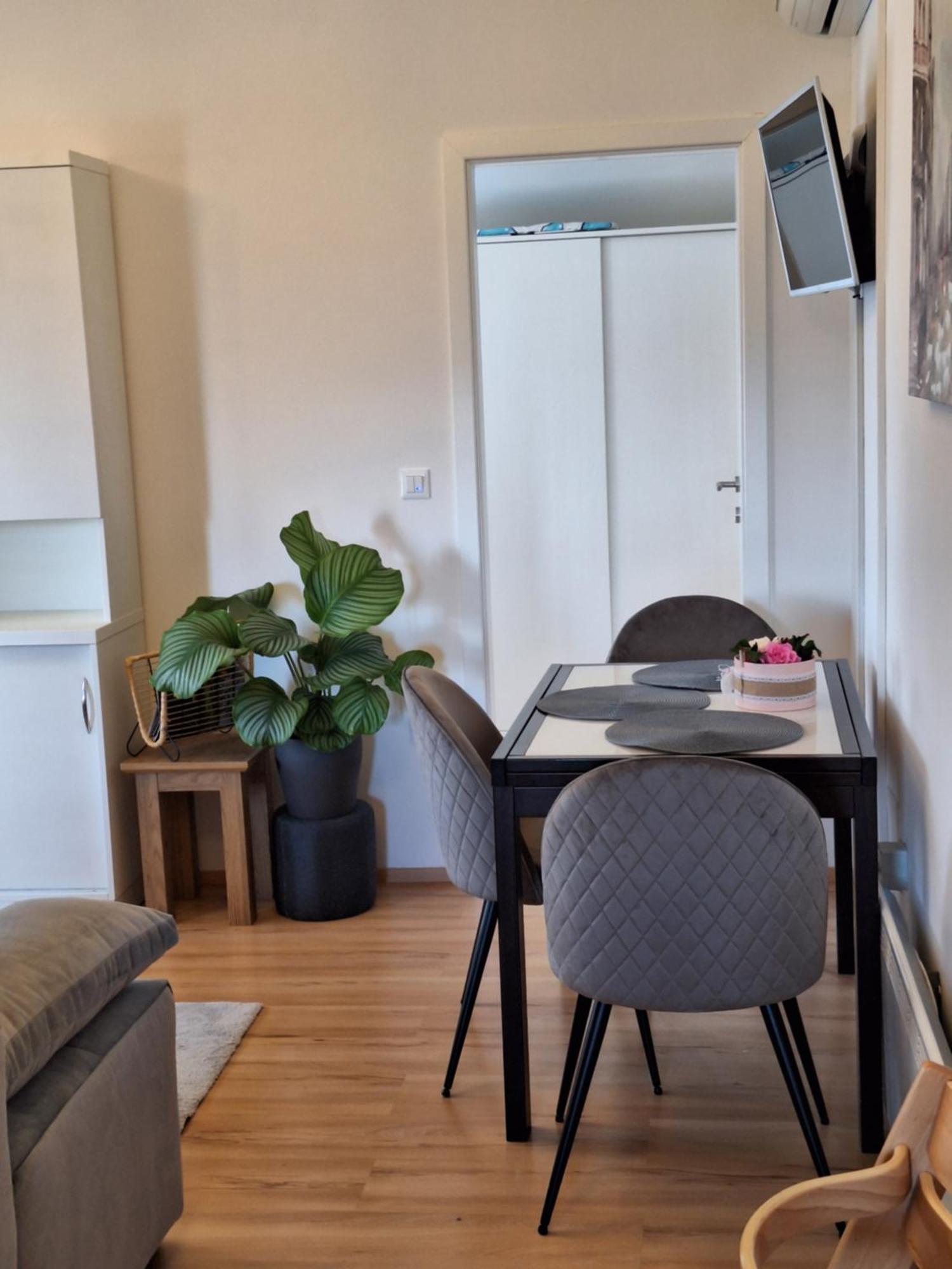 Apartment Dorina Buje Luaran gambar