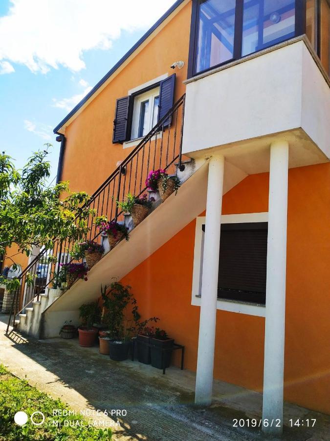 Apartment Dorina Buje Luaran gambar